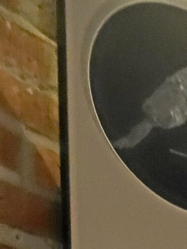 In der Mikroskopier-Ecke des LehrReichs können Besucher die Geheimnisse diverser Auenbewohner unter einem Kamera-Mikroskop entdecken.