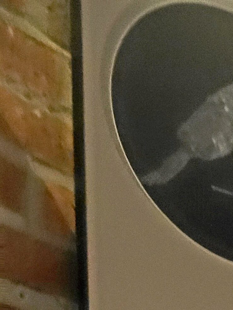 In der Mikroskopier-Ecke des LehrReichs können Besucher die Geheimnisse diverser Auenbewohner unter einem Kamera-Mikroskop entdecken.